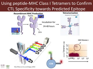 The quest for the needle (antigen) in the haystack (pathogen): Immunoinformatics to the rescue