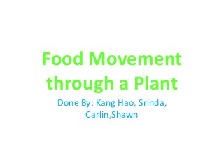Food Movement
 through a Plant
 Done By: Kang Hao, Srinda,
       Carlin,Shawn
 