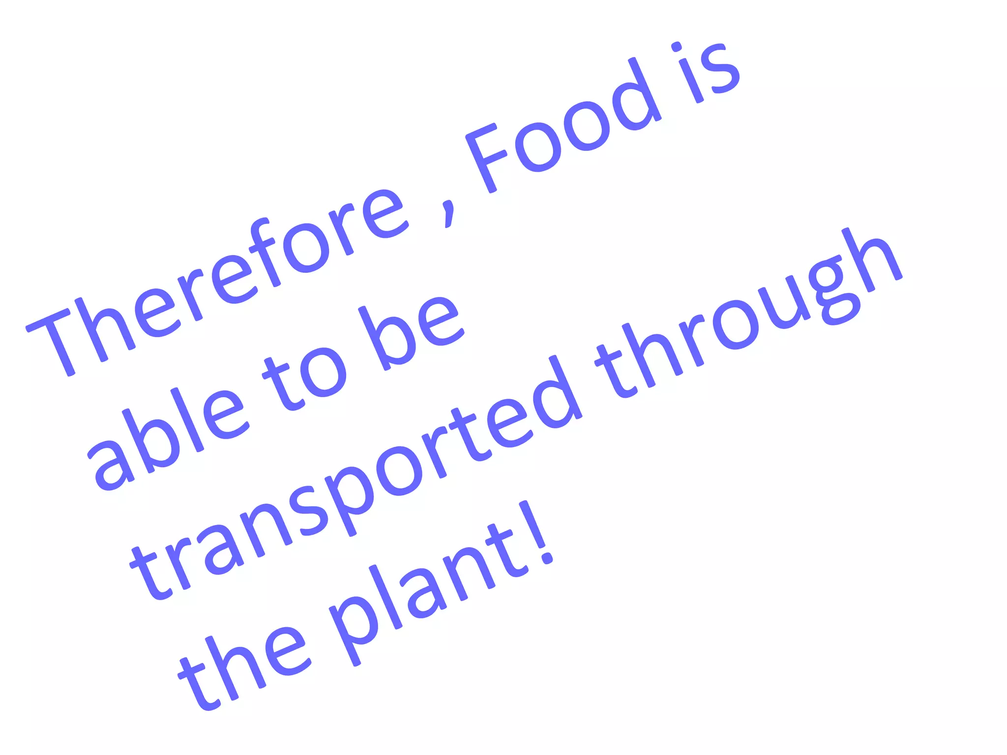 bio-science-project-kh-s-c-sh-final-ppt