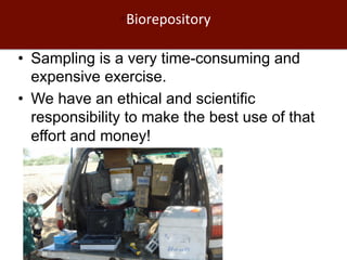 Biosciences research at the International Livestock Research Institute (ILRI)
