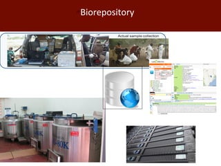 Biosciences research at the International Livestock Research Institute (ILRI)