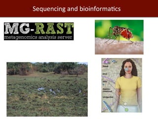 Biosciences research at the International Livestock Research Institute (ILRI)