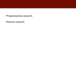 Biosciences research at the International Livestock Research Institute (ILRI)