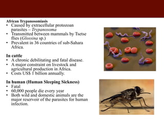 Biosciences research at the International Livestock Research Institute (ILRI)