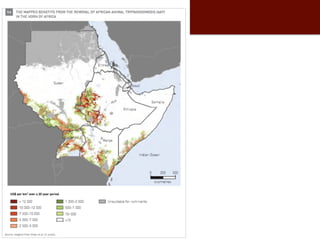 Biosciences research at the International Livestock Research Institute (ILRI)