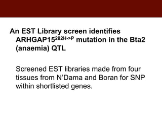 Biosciences research at the International Livestock Research Institute (ILRI)