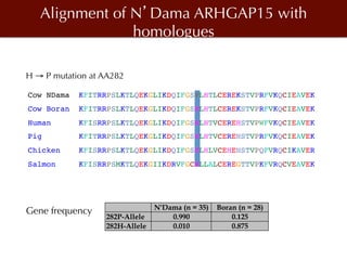 Biosciences research at the International Livestock Research Institute (ILRI)