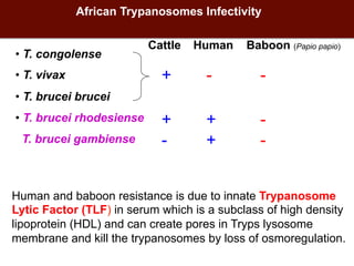 Biosciences research at the International Livestock Research Institute (ILRI)