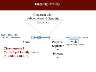 Biosciences research at the International Livestock Research Institute (ILRI)