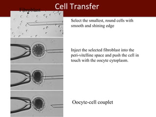 Biosciences research at the International Livestock Research Institute (ILRI)