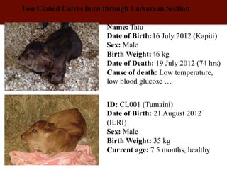 Biosciences research at the International Livestock Research Institute (ILRI)