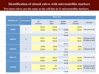 Biosciences research at the International Livestock Research Institute (ILRI)