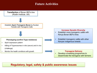 Biosciences research at the International Livestock Research Institute (ILRI)
