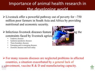 Biosciences research at the International Livestock Research Institute (ILRI)
