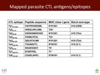 Biosciences research at the International Livestock Research Institute (ILRI)
