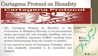 Cartagena Protocol on Biosafety
• The Cartagena Protocol on Biosafety to the
Convention on Biological Diversity is an international
treaty governing the safe transfer, handling, and use
of living modified organisms (LMOs) resulting from
modern biotechnology from one country to another.
• It was named in honor of Cartagena, Colombia, where
it was originally scheduled to be concluded and
adopted.
 