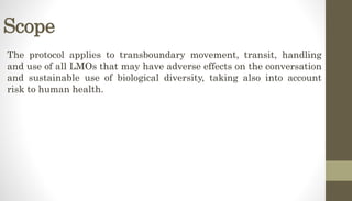 Scope
The protocol applies to transboundary movement, transit, handling
and use of all LMOs that may have adverse effects on the conversation
and sustainable use of biological diversity, taking also into account
risk to human health.
 