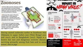 Zoonoses
Having caused outbreaks earlier in Southeast Asia
(Malaysia in 1999), India’s east (West Bengal 2001
and 2007), and in Bangladesh (2017), Nipah is a
known but rare and dangerous zoonotic disease,
surviving primarily among fruit bats and to some
extent, also in pigs
 