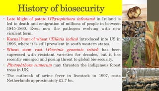 History of biosecurity
• Late blight of potato (Phytophthora infestans) in Ireland is
led to death and emigration of millions of people in between
1845-1860. Even now the pathogen evolving with new
virulent form.
• Karnal bunt of wheat (Tilletia indica) introduced into US in
1996, where it is still prevalent in south western states.
• Wheat stem rust (Puccinia graminis tritici) has been
supressed with resistant varieties for decades, but it has
recently emerged and posing threat to global bio-security.
• Phytophthora rumorum may threaten the indigenous forest
tress in UK.
• The outbreak of swine fever in livestock in 1997, costs
Netherlands approximately £2.7 bn.
 