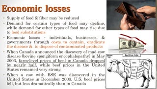 Economic losses
• Supply of food & fiber may be reduced
• Demand for certain types of food may decline,
while demand for other types of food may rise due
to food substitutions
• Economic losses - individuals, businesses, &
governments through costs to contain, eradicate
the disease & to dispose of contaminated products
• When Canada announced the discovery of mad cow
disease (bovine spongiform encephalopathy) in May
2003, farm-level prices of beef in Canada dropped
by nearly half, while beef prices in the United
States remained very strong
• When a cow with BSE was discovered in the
United States in December 2003, U.S. beef prices
fell, but less dramatically than in Canada
 