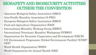 BIOSAFETY AND BIOSECURITY ACTIVITIES
OUTSIDE THE CONVENTION
• American Biological Safety Association (ABSA)
• Asia-Pacific Biosafety Association (A-PBA)
• European Biological Safety Association (EBSA)
• Food and Agriculture Organization (FAO)
• International Biosafety Working Group (IBWG)
• International Veterinary Biosafety Workgroup (IVBWG)
• Organization for Economic Cooperation and Development (OECD)
• UN Environment Programme (Global Environment Facility) (UNEP-
GEF)
• World Health Organization (WHO)
• World Organization for Animal Health (OIE)
 
