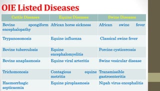OIE Listed Diseases
Cattle Diseases Equine Diseases Swine Diseases
Bovine spongiform
encephalopathy
African horse sickness African swine fever
Trypanosomosis Equine influenza Classical swine fever
Bovine tuberculosis Equine
encephalomyelitis
Porcine cysticercosis
Bovine anaplasmosis Equine viral arteritis Swine vesicular disease
Trichomonosis Contagious equine
metritis
Transmissible
gastroenteritis
Haemorrhagic
septicaemia
Equine piroplasmosis Nipah virus encephalitis
 