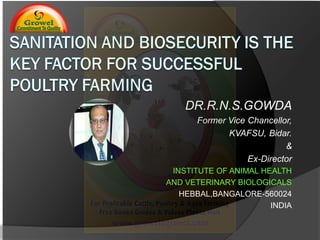 DR.R.N.S.GOWDA
Former Vice Chancellor,
KVAFSU, Bidar.
&
Ex-Director
INSTITUTE OF ANIMAL HEALTH
AND VETERINARY BIOLOGICALS
HEBBAL,BANGALORE-560024
INDIA
 
