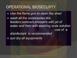 OPERATIONAL BIOSECURTY
 Use the flame gun to clean the shed
 wash all the accessories like
feeders,waterers,brooders wit...
