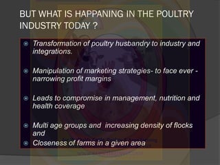 BUT WHAT IS HAPPANING IN THE POULTRY
INDUSTRY TODAY ?
 Transformation of poultry husbandry to industry and
integrations.
...