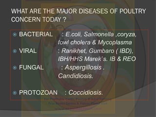 WHAT ARE THE MAJOR DISEASES OF POULTRY
CONCERN TODAY ?
 BACTERIAL : E.coli, Salmonella ,coryza,
fowl cholera & Mycoplasma...