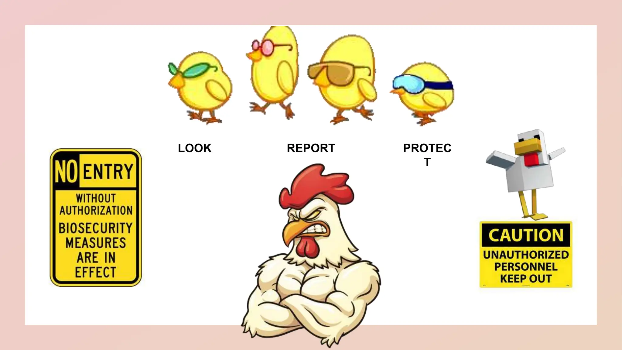 Biosecurity Measure for Poultry farm PPT | PPTX