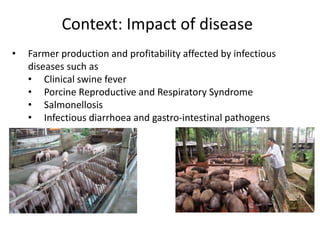 Biosecurity and diseases control practices and perceptions of smallholder pig farmers in Vietnam