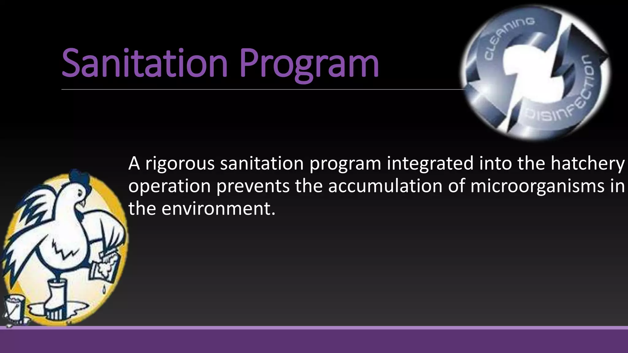 Sanitation Program
A rigorous sanitation program integrated into the hatchery
operation prevents the accumulation of microorganisms in
the environment.
 