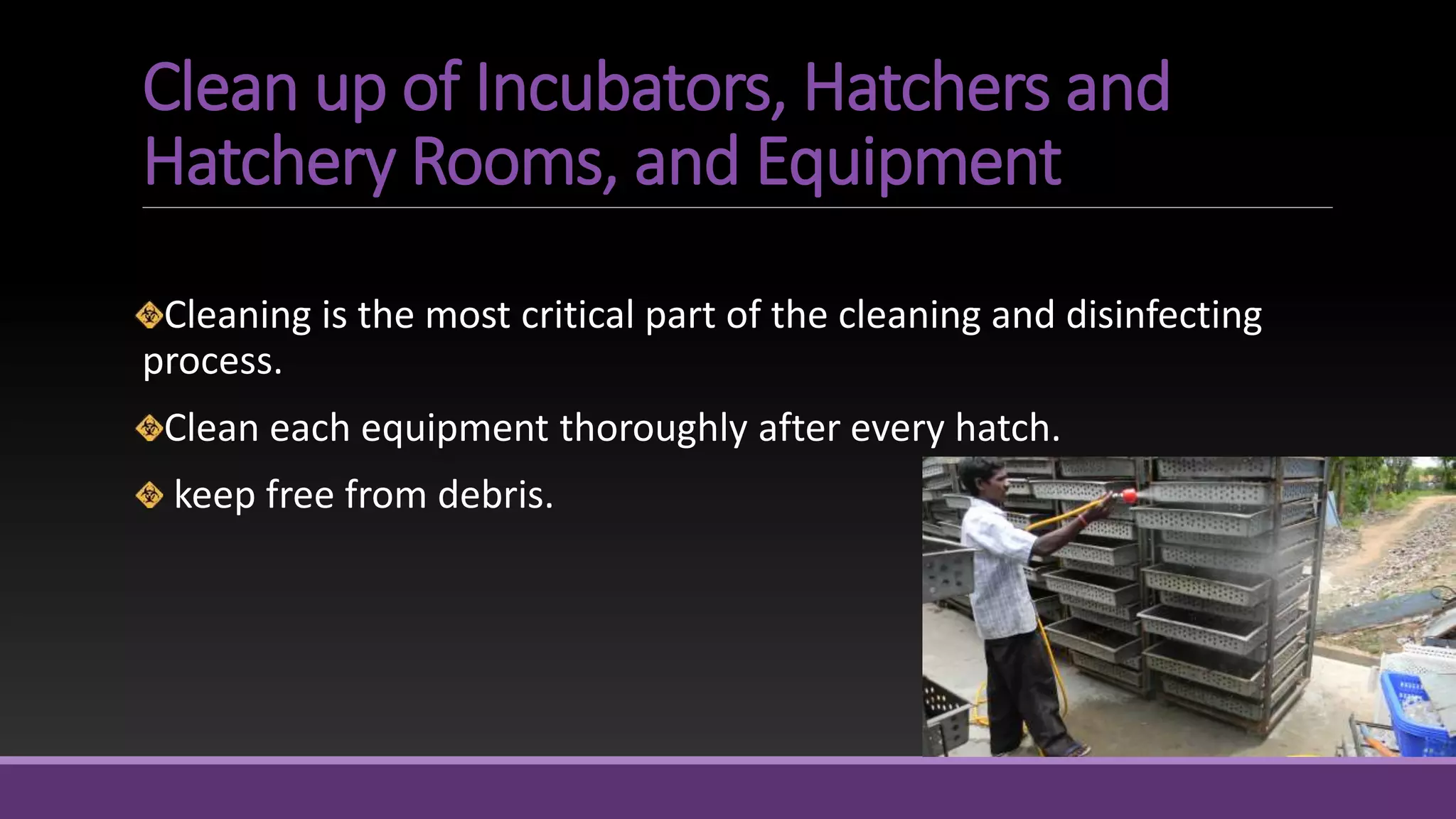 Clean up of Incubators, Hatchers and
Hatchery Rooms, and Equipment
Cleaning is the most critical part of the cleaning and disinfecting
process.
Clean each equipment thoroughly after every hatch.
keep free from debris.
 