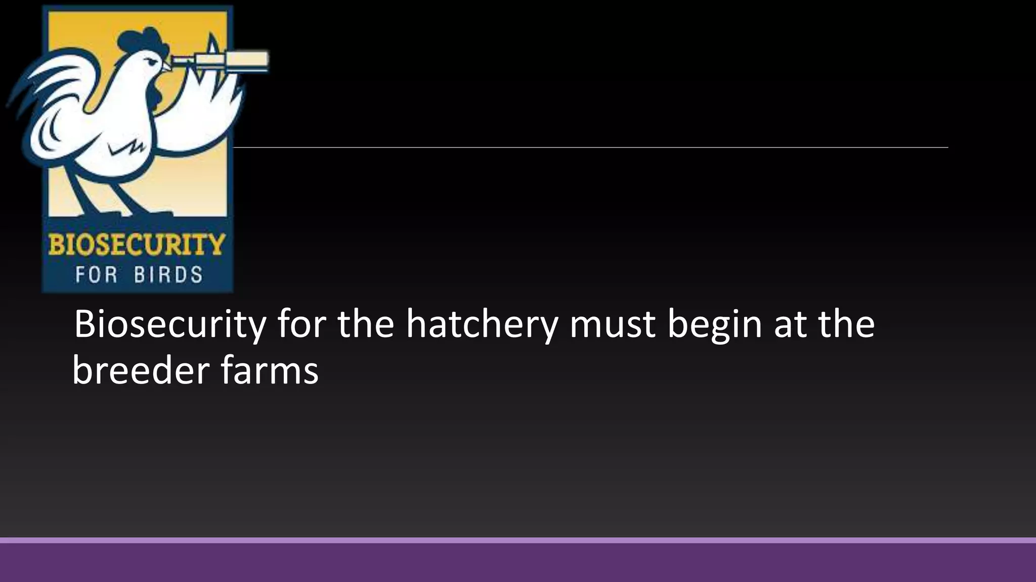 Biosecurity for the hatchery must begin at the
breeder farms
 