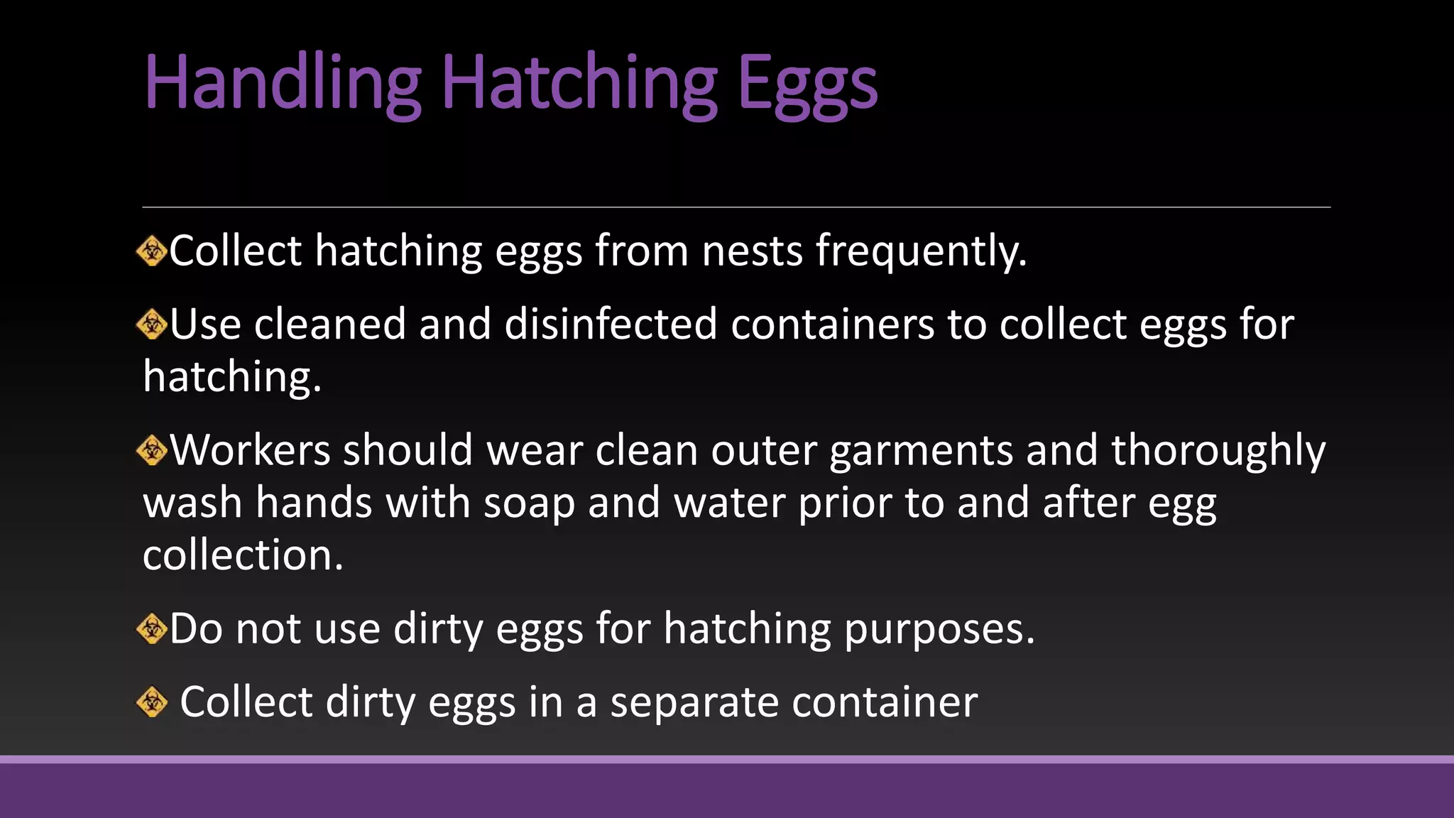 Handling Hatching Eggs
Collect hatching eggs from nests frequently.
Use cleaned and disinfected containers to collect eggs for
hatching.
Workers should wear clean outer garments and thoroughly
wash hands with soap and water prior to and after egg
collection.
Do not use dirty eggs for hatching purposes.
Collect dirty eggs in a separate container
 