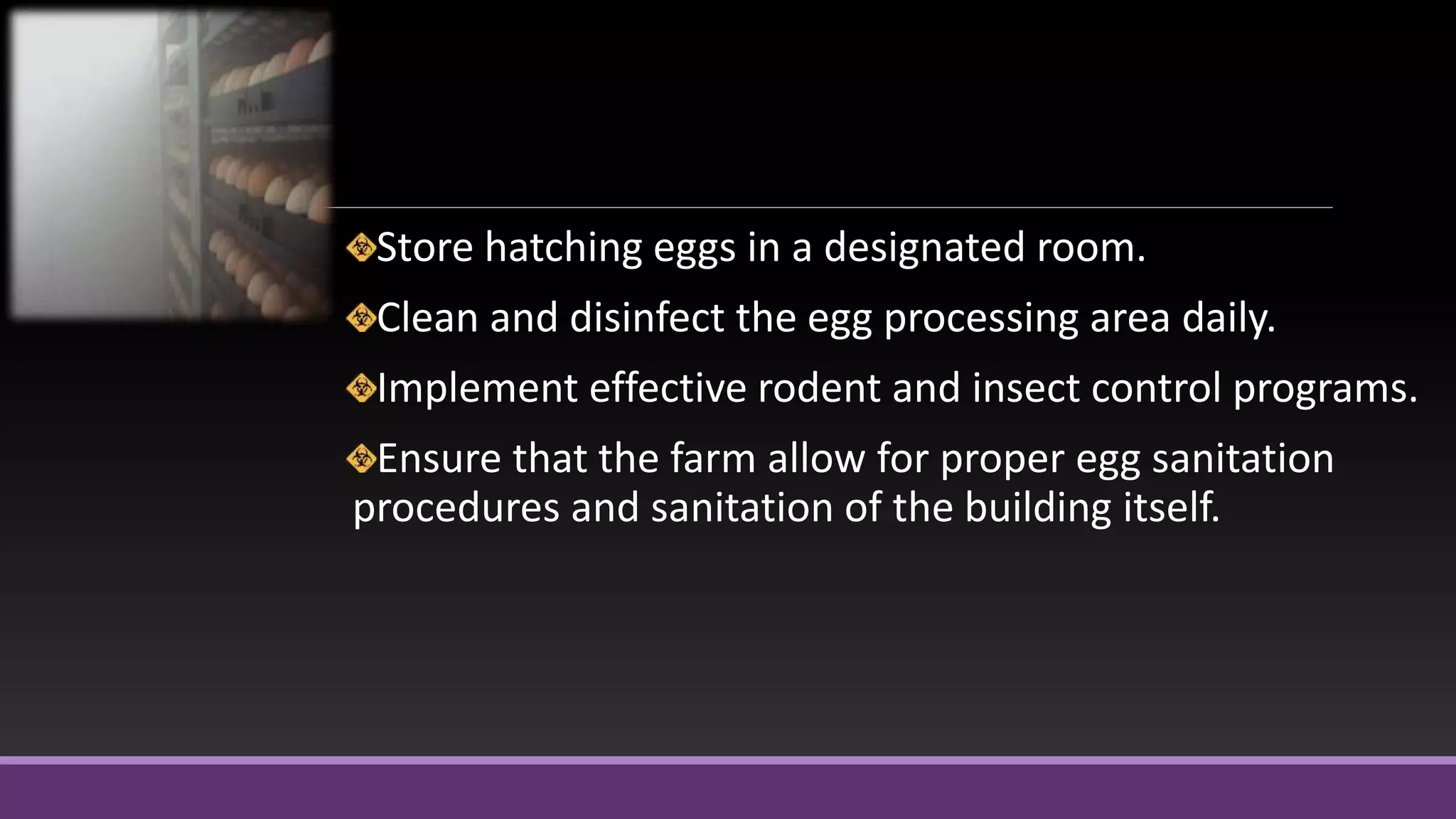Store hatching eggs in a designated room.
Clean and disinfect the egg processing area daily.
Implement effective rodent and insect control programs.
Ensure that the farm allow for proper egg sanitation
procedures and sanitation of the building itself.
 