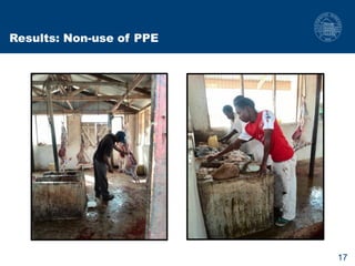 Biosecurity measures in meat and milk value chains: A study in Bura sub-county, Kenya