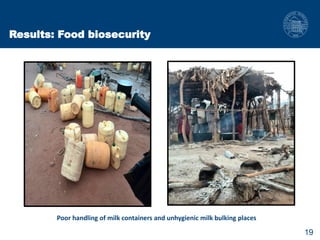 Biosecurity measures in meat and milk value chains: A study in Bura sub-county, Kenya