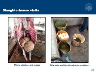 Biosecurity measures in meat and milk value chains: A study in Bura sub-county, Kenya