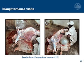 Biosecurity measures in meat and milk value chains: A study in Bura sub-county, Kenya