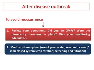 After disease outbreak
To avoid reoccurrence
1. Review your operations. Did you do GMPs? Were the
biosecurity measures in place? Was your monitoring
adequate? .
2. Modify culture system (use of greenwater, reservoir; closed/
semi-closed system; crop rotation; screening and filtration)
 