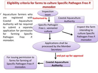 Eligibility criteria for farms to culture Specific Pathogen Free P.
monodon
 Aquaculture farmers who
are registered with
Coastal Aquaculture
Authority will be required
to submit a separate
application for permission
for farming Specific
Pathogen Free P.
monodon.
Inspection
team
Coastal Aquaculture
Authority
Specific Pathogen
Free L. vannamei
culture
Inspect the farm
intending to
culture Specific
Pathogen Free P.
monodon
Applications shall be
processed by the Member
Secretary
Coastal Aquaculture
Authority
and put up for approval
Authorised by
For issuing permission to
farms for farming of
Specific Pathogen Free P.
monodon.
 