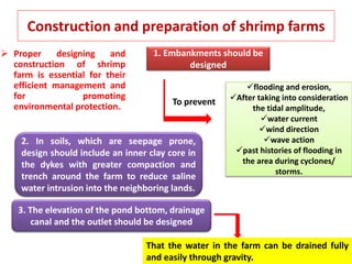Construction and preparation of shrimp farms
 Proper designing and
construction of shrimp
farm is essential for their
efficient management and
for promoting
environmental protection.
1. Embankments should be
designed
flooding and erosion,
After taking into consideration
the tidal amplitude,
water current
wind direction
wave action
past histories of flooding in
the area during cyclones/
storms.
To prevent
2. In soils, which are seepage prone,
design should include an inner clay core in
the dykes with greater compaction and
trench around the farm to reduce saline
water intrusion into the neighboring lands.
3. The elevation of the pond bottom, drainage
canal and the outlet should be designed
That the water in the farm can be drained fully
and easily through gravity.
 