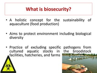 What is biosecurity?
• A holistic concept for the sustainability of
aquaculture (food production)
• Aims to protect environment including biological
diversity
• Practice of excluding specific pathogens from
cultured aquatic stocks in the broodstock
facilities, hatcheries, and farms
 