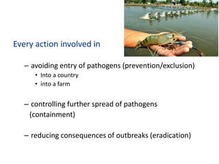 Every action involved in
– avoiding entry of pathogens (prevention/exclusion)
• Into a country
• into a farm
– controlling further spread of pathogens
(containment)
– reducing consequences of outbreaks (eradication)
 