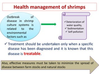  Treatment should be undertaken only when a specific
disease has been diagnosed and it is known that this
disease is treatable.
Health management of shrimps
Deterioration of
water quality,
 Sedimentation
 Self-pollution
Also, effective measures must be taken to minimize the spread of
disease between farm stocks and natural stocks
Outbreak of
disease in shrimp
culture systems is
related to the
environmental
factors such as
 