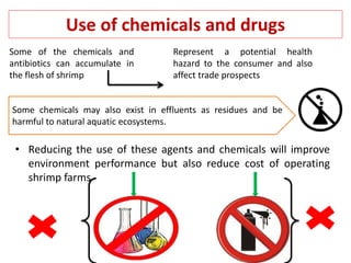 Use of chemicals and drugs
• Reducing the use of these agents and chemicals will improve
environment performance but also reduce cost of operating
shrimp farms
Some of the chemicals and
antibiotics can accumulate in
the flesh of shrimp
Represent a potential health
hazard to the consumer and also
affect trade prospects
Some chemicals may also exist in effluents as residues and be
harmful to natural aquatic ecosystems.
 