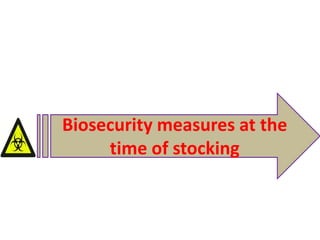 Biosecurity measures at the
time of stocking
 