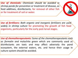 Use of chemicals: Chemicals should be avoided in
shrimp ponds for prevention or treatment of disease, as
feed additives, disinfectants, for removal of other fish
or for treatment of soil or water.
Use of fertilizers: Both organic and inorganic fertilizers are used
widely in shrimp culture for promoting the growth of fish food
organisms, particularly for the early post-larval stages.
Use of chemotherapeutants: Some of the chemotherapeutants such
as formalin and malachite green which are commonly used as
disinfectants are toxic and may affect adversely the pond
ecosystem, the external waters, etc. and hence their usage in
culture system should be avoided.
 